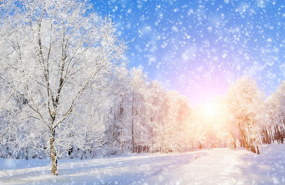关键词:冬季唯美雪地美景 极致 唯美 绚丽 美景 雪地 壁纸 风景 夕阳