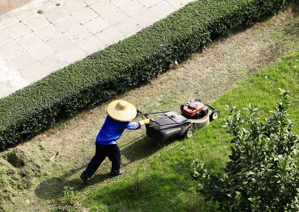 园林工修剪草坪图片