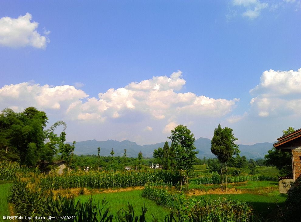 中国乡村风景 农村景象 美丽乡村风景 乡村风景 农村风景 摄影 自然