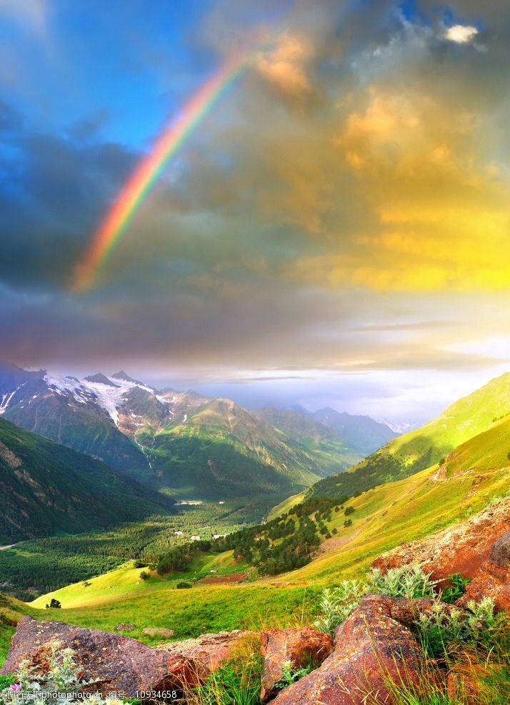 关键词:彩虹 自然景观 自然风景 雨后彩虹 植物 风景 风光 唯美 意境