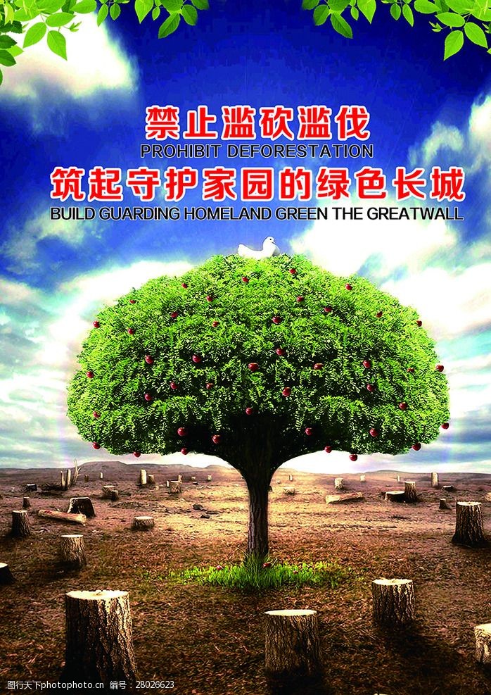 关键词:林业宣传海报 林业 树木 海报 禁止砍伐 守护家园 海报 设计