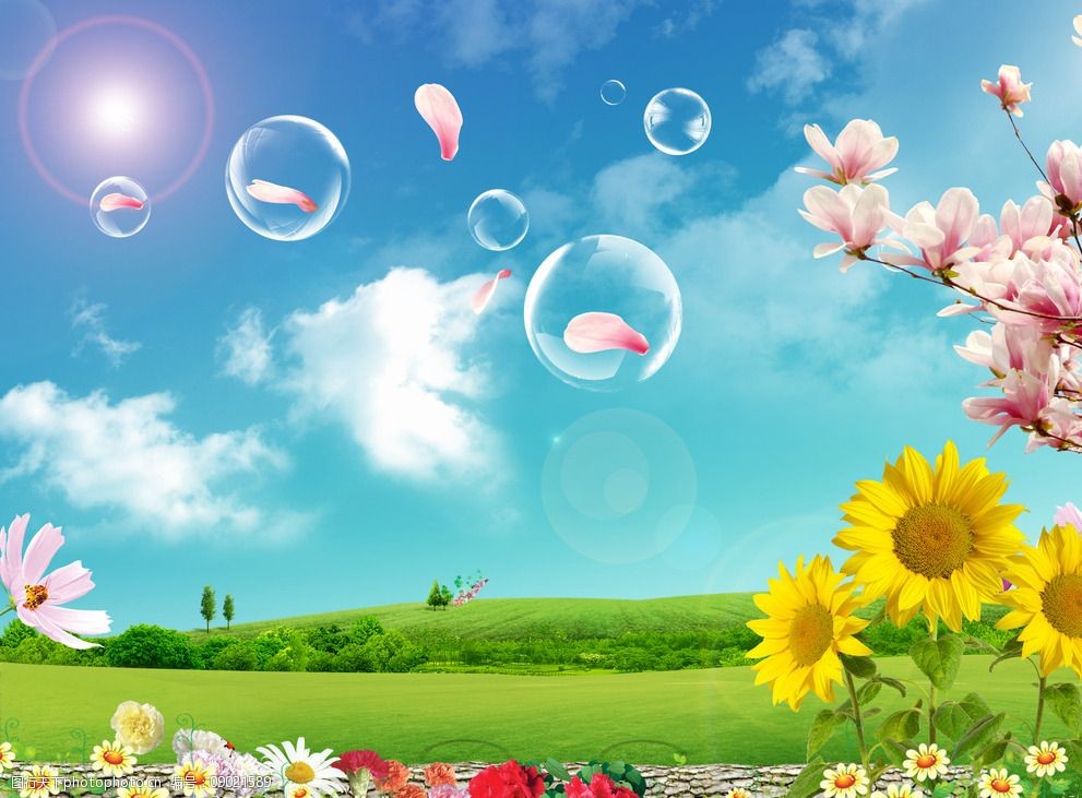 关键词:蓝天草地气泡 蓝天 草地 气泡 风景 花瓣 花卉 向日葵 风景