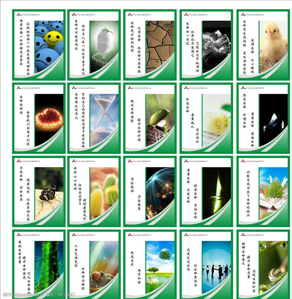 关键词:生命教育标语 生命 植物 动物 水滴 绿植 色彩 绿色 海报 设计