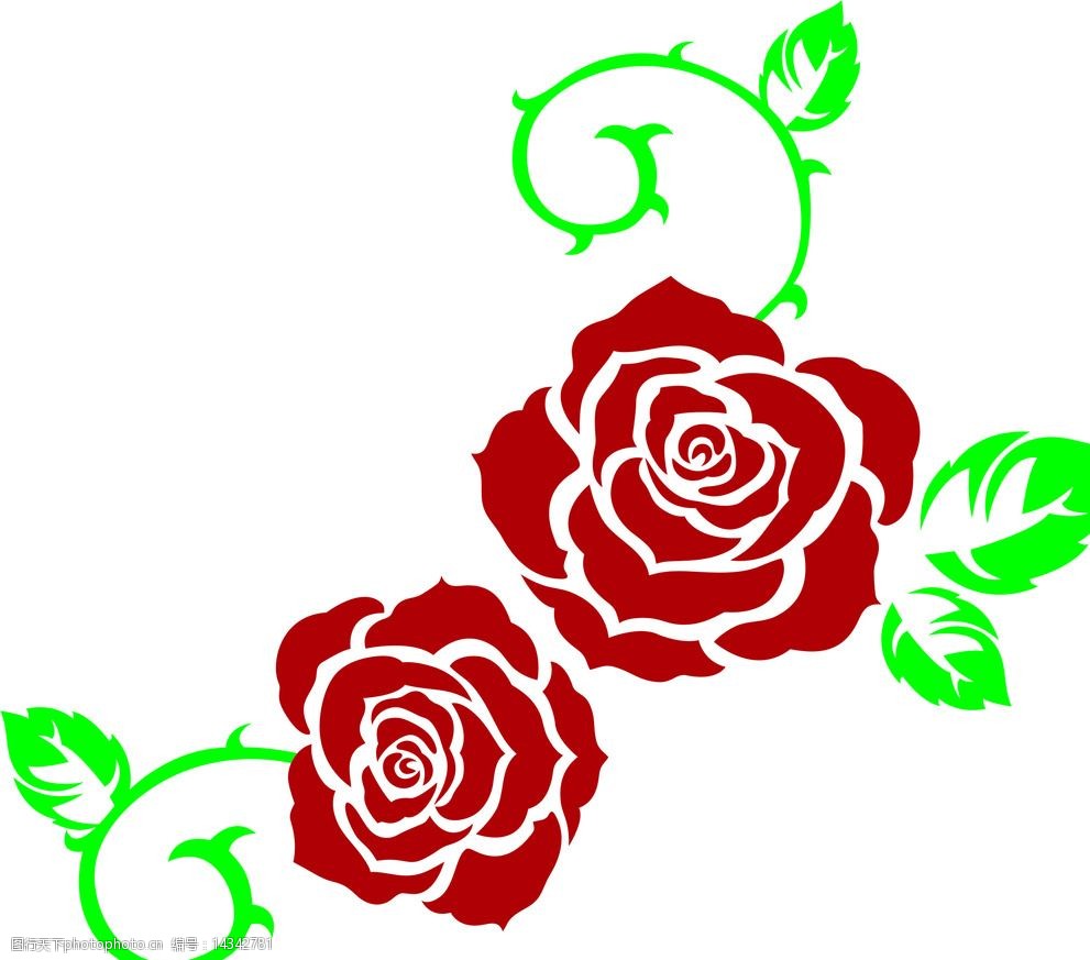 蔷薇玫瑰花边花纹图片