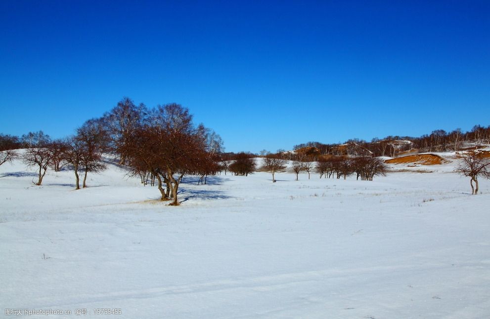 雪地 内蒙古 内蒙 风景 雪景图 太阳 树木 雪 摄影 自然景观 山水风景