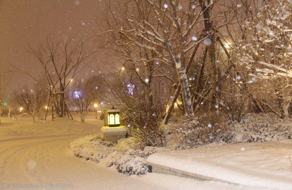 园林夜景雪景图片