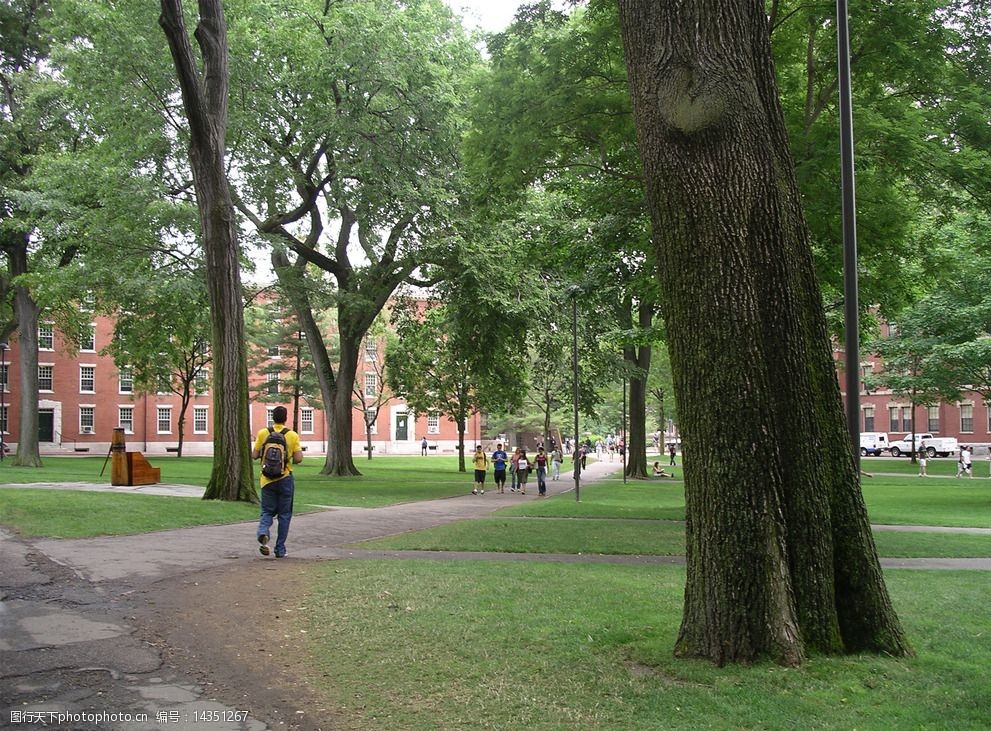 关键词:哈佛大学 唯美 风景 风光 旅行 美国 大学 哈佛 校园 摄影