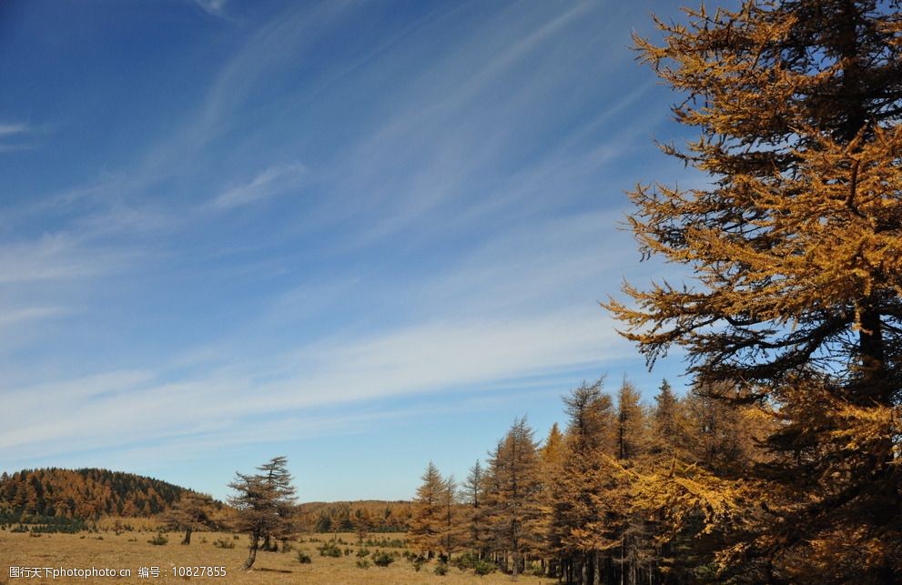 关键词:秋天风景 大自然 自然风光 草地 树木 天空 蓝天 实拍素材