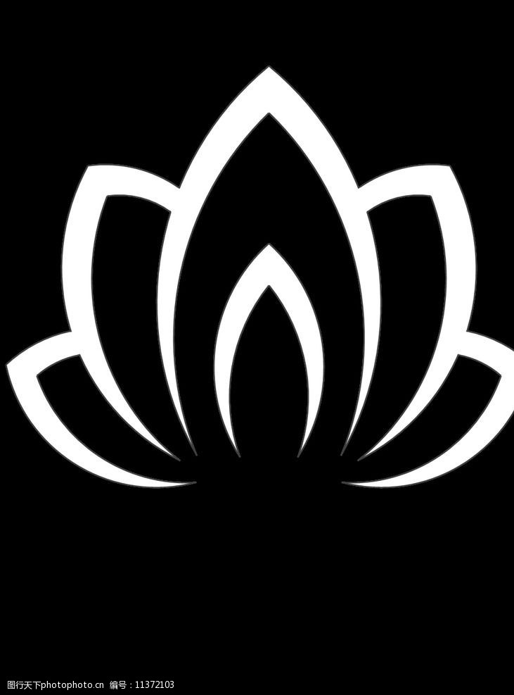 坚韧圣洁莲花图片