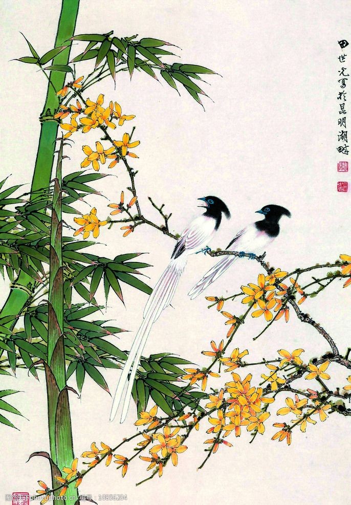 关键词:田世光花鸟画 美术 中国画 彩墨画 花木 黄花 长尾白鹊 竹子