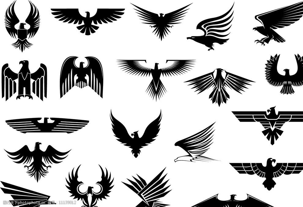 老鹰 鹰派 翅膀 自由精神 美国精神 老鹰剪影 轮廓 矢量 eps 设计