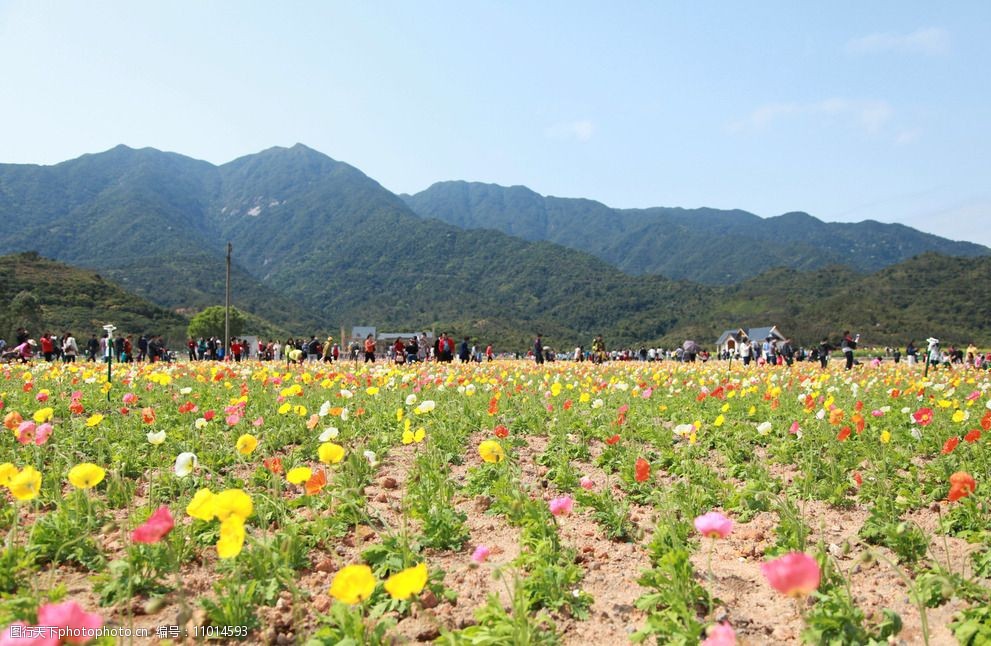 罗浮山 那儿花开 惠州 主题公园 摄影 自然景观 自然风景 72dpi jpg