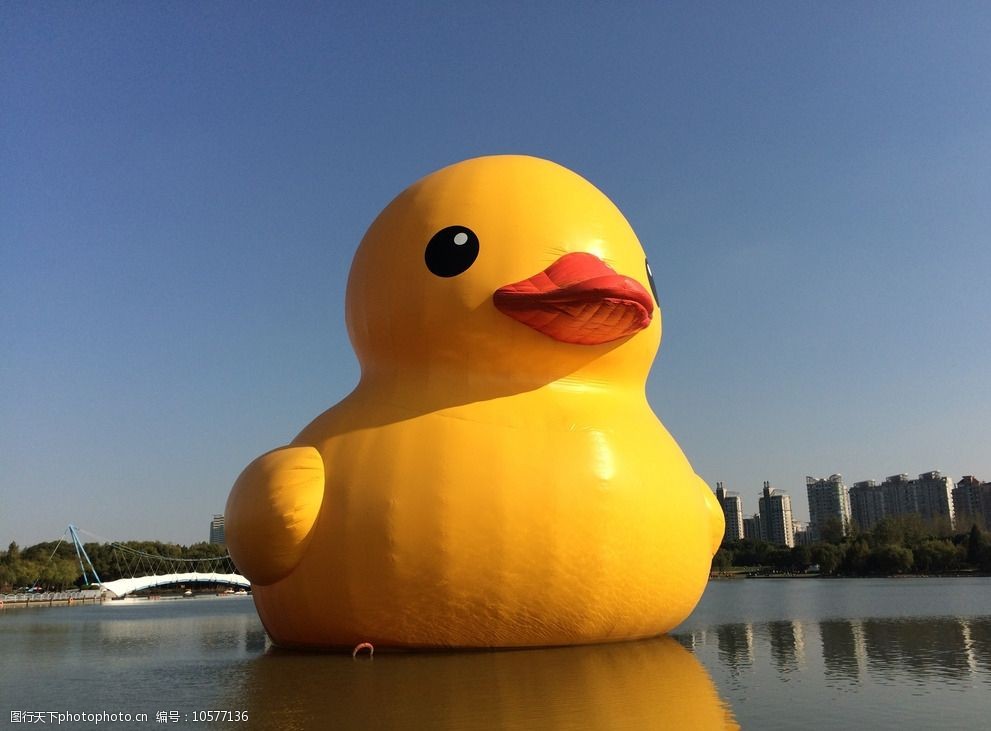 大黄鸭在上海图片