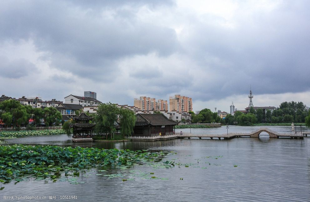 荷花池公园图片