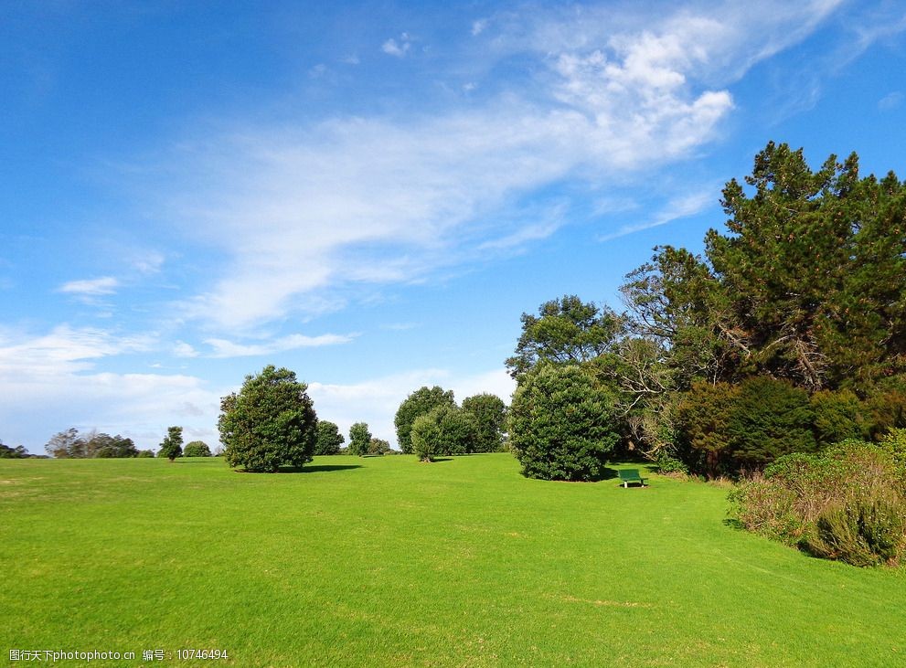 蓝天 白云 绿树丛 绿地 草坪 新西兰风光 摄影 自然景观 自然风景 350