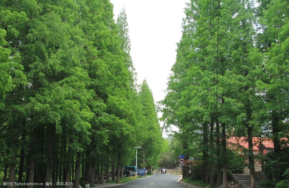 自然风景图片