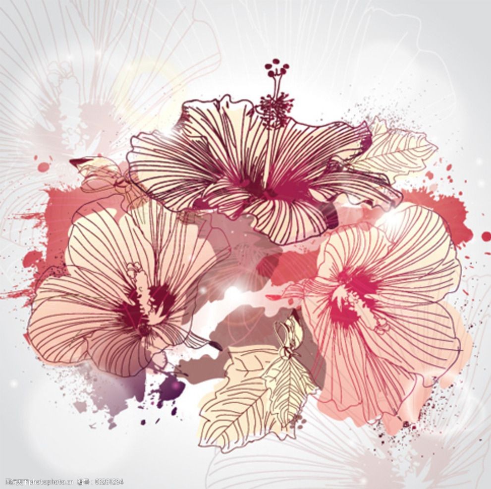 线条花朵图案矢量素材图片