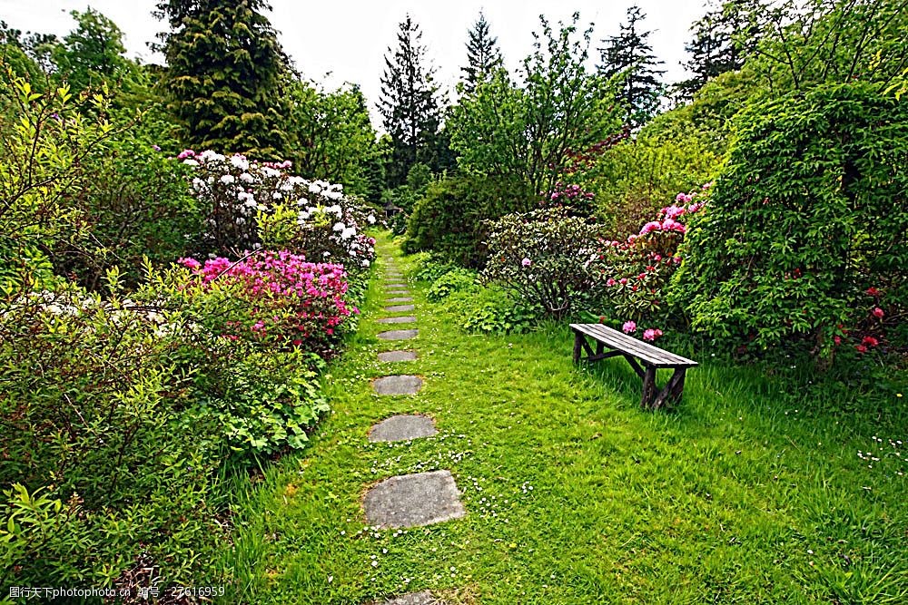 美丽花园植物风景