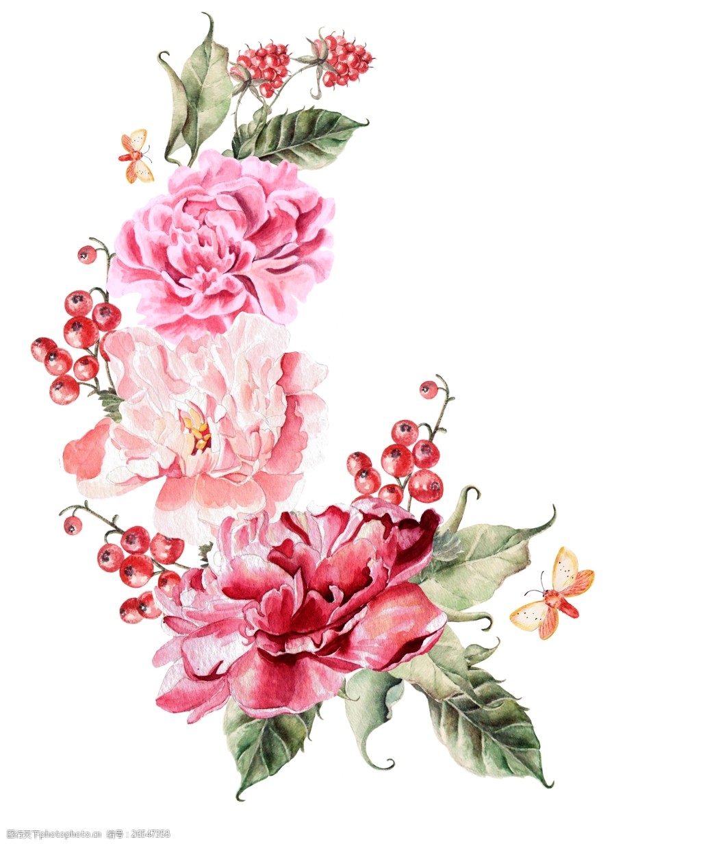 美丽花朵图片素材