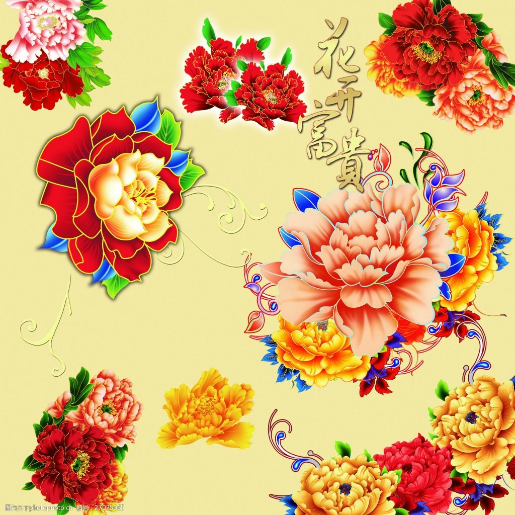 牡丹花素材