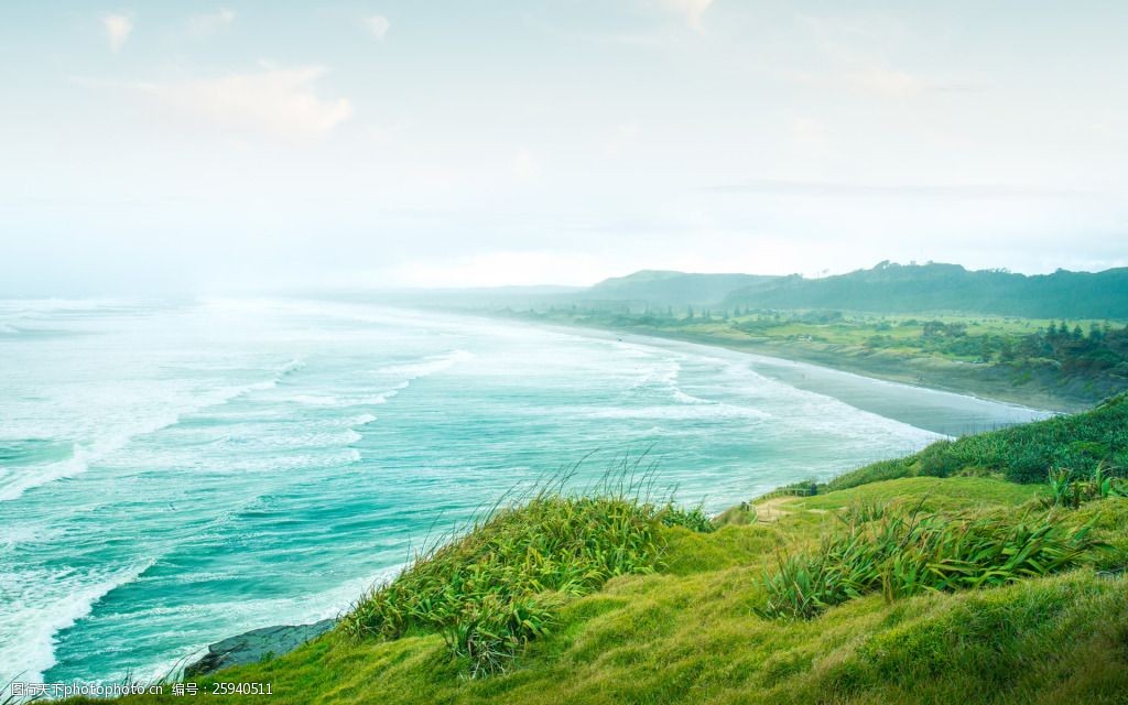 清爽草地海边大自然背景