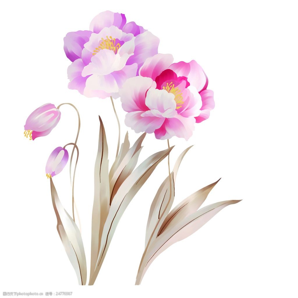 手绘花高清封面插画花水彩花