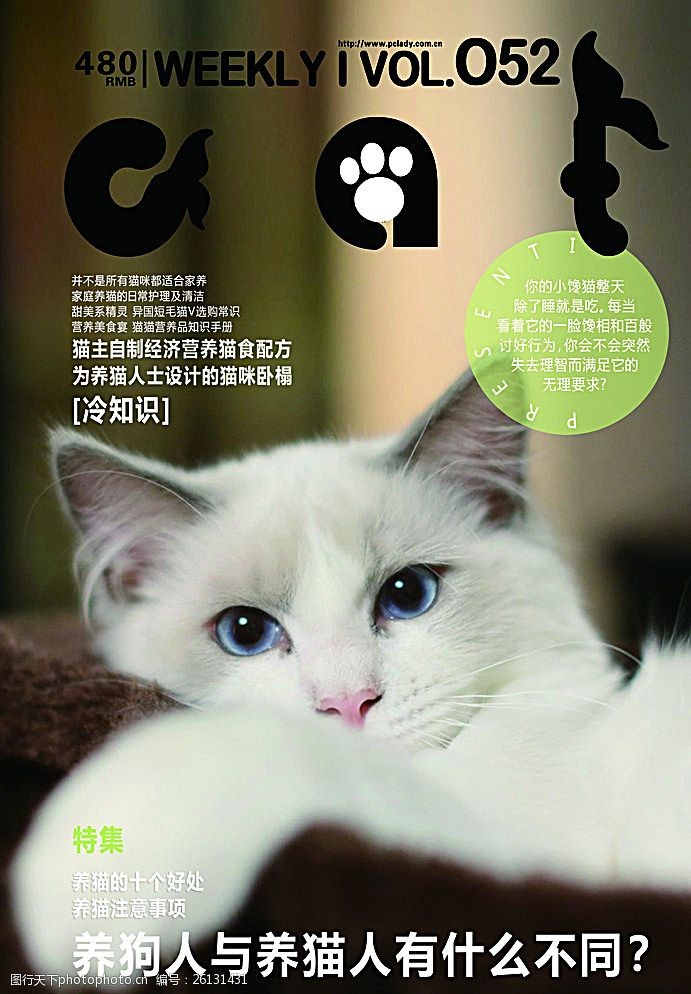 猫咪海报图片