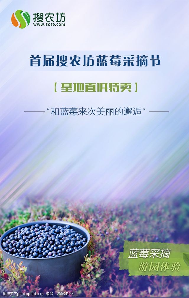 关键词:水果店商 搜农坊 水果 蓝莓 农业电商 h5 紫色 轻app psd 白色