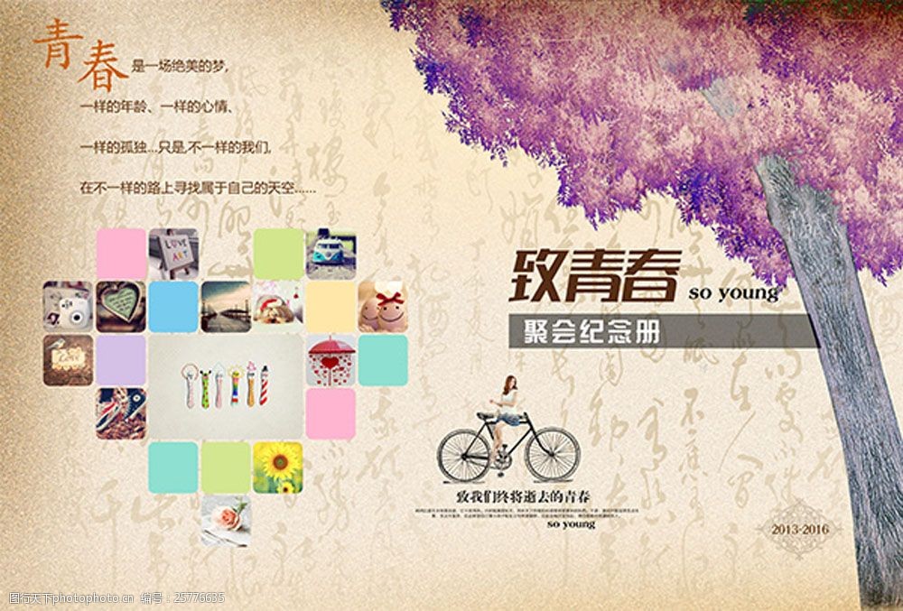 致青春同学聚会纪念册封面模板