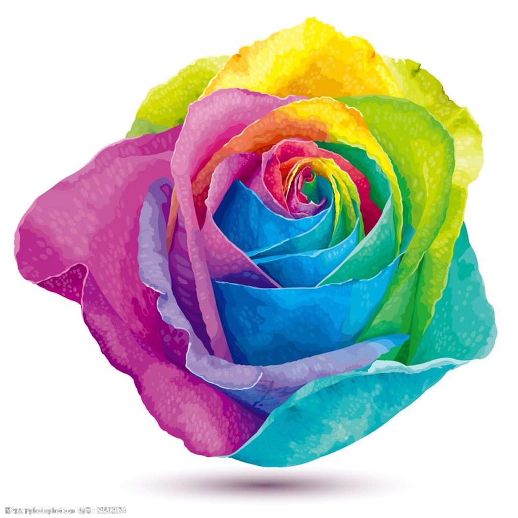 关键词:水彩画创意色彩玫瑰 水彩 画 创意 色彩 玫瑰 彩色 渐变 cdr