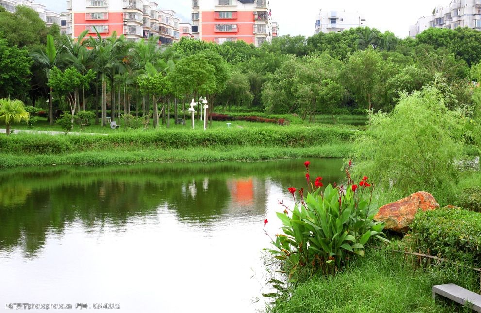 公园 水池 水溏 花 绿树 自然 养眼 休闲 摄影 自然景观 风景名胜 72