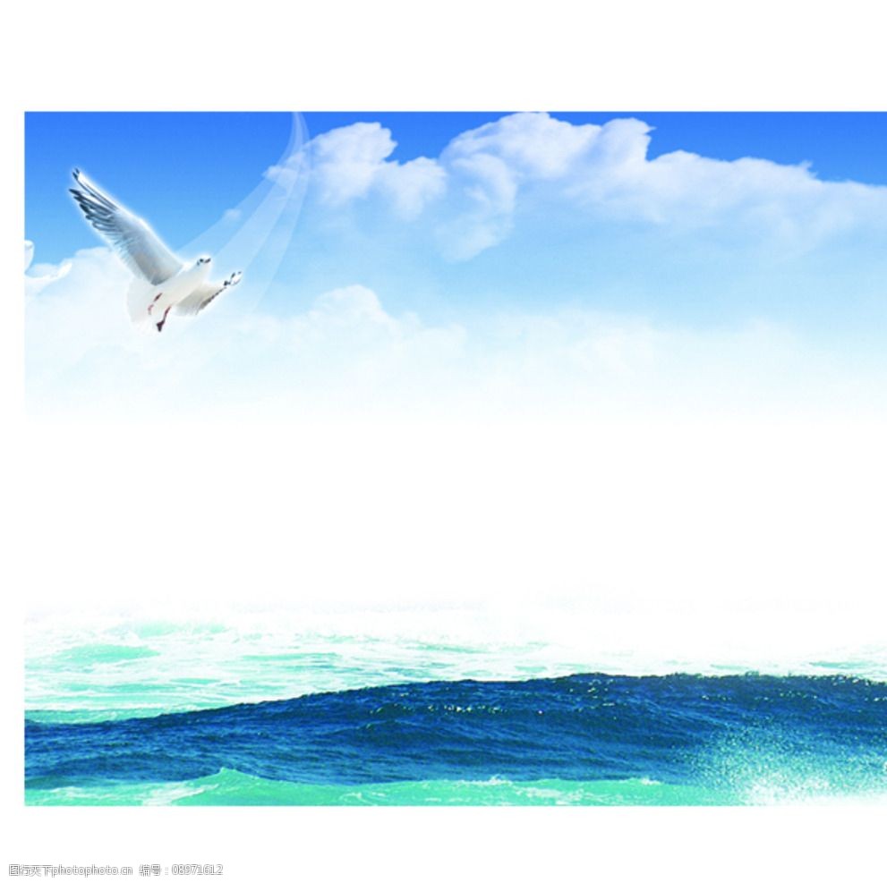 大海海鸥风景画图片