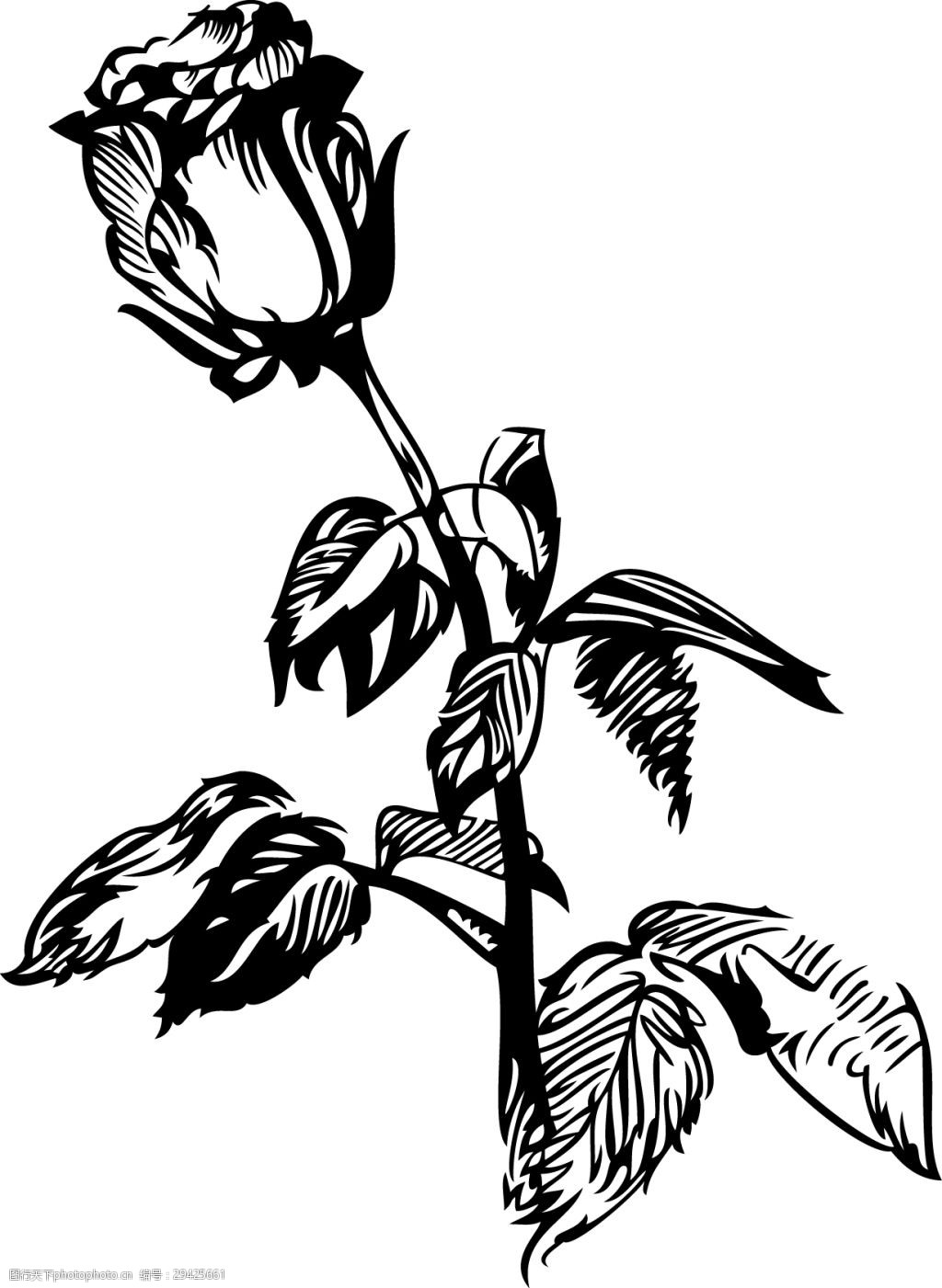 关键词:黑白手绘植物玫瑰花 黑白 花朵 玫瑰花 手绘 速写 艺术 植物