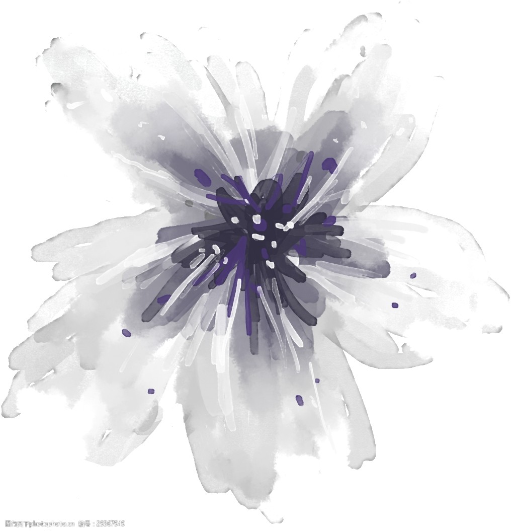 花纹图案png透明素材