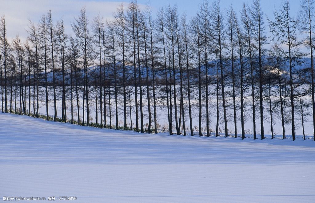 雪地树林背景图