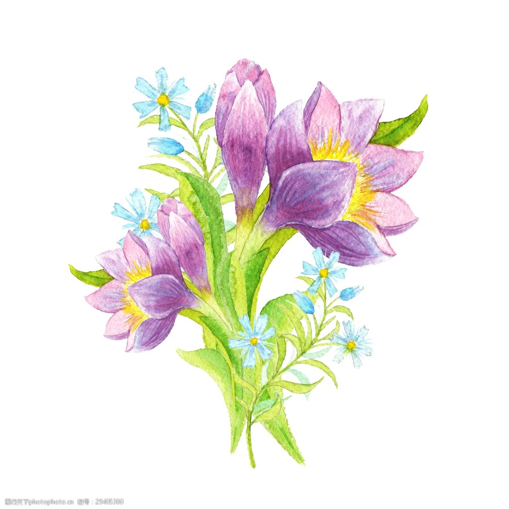 美丽优雅的复古花卉插画