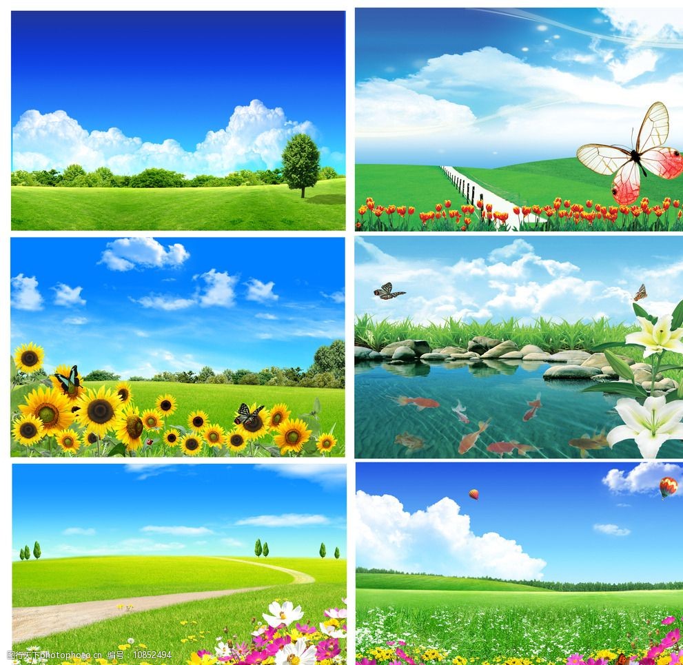关键词:靓丽大气的6组分层风景图 草地 蓝天 花 草 向日葵 蝴蝶 野花
