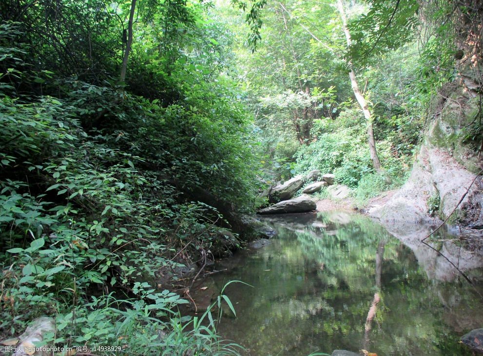 关键词:林间溪水 森林 小溪 泉水 青山 绿水 自然 景观 清净 清新