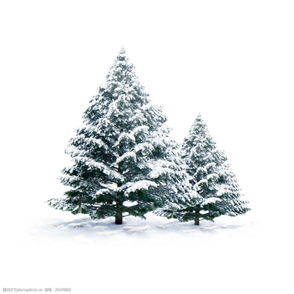 png元素 白雪 冬天 寒冷 季节 节日 免抠元素 松树 透明素材