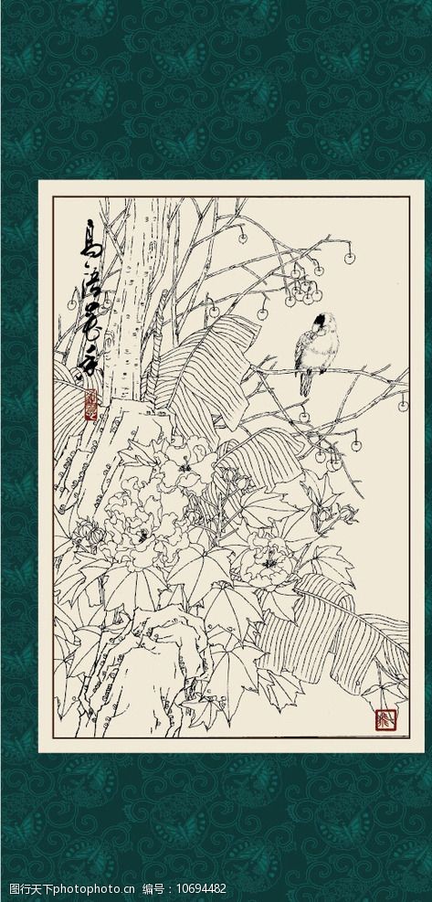 白描芙蓉图片