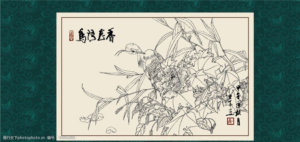 白描芙蓉图片