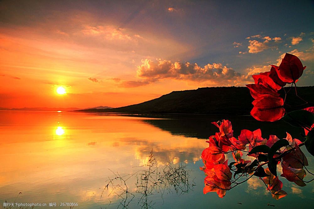 关键词:夕阳笼罩下的湖水 夕阳 落日 湖水 花朵 高山 树叶 自然风景