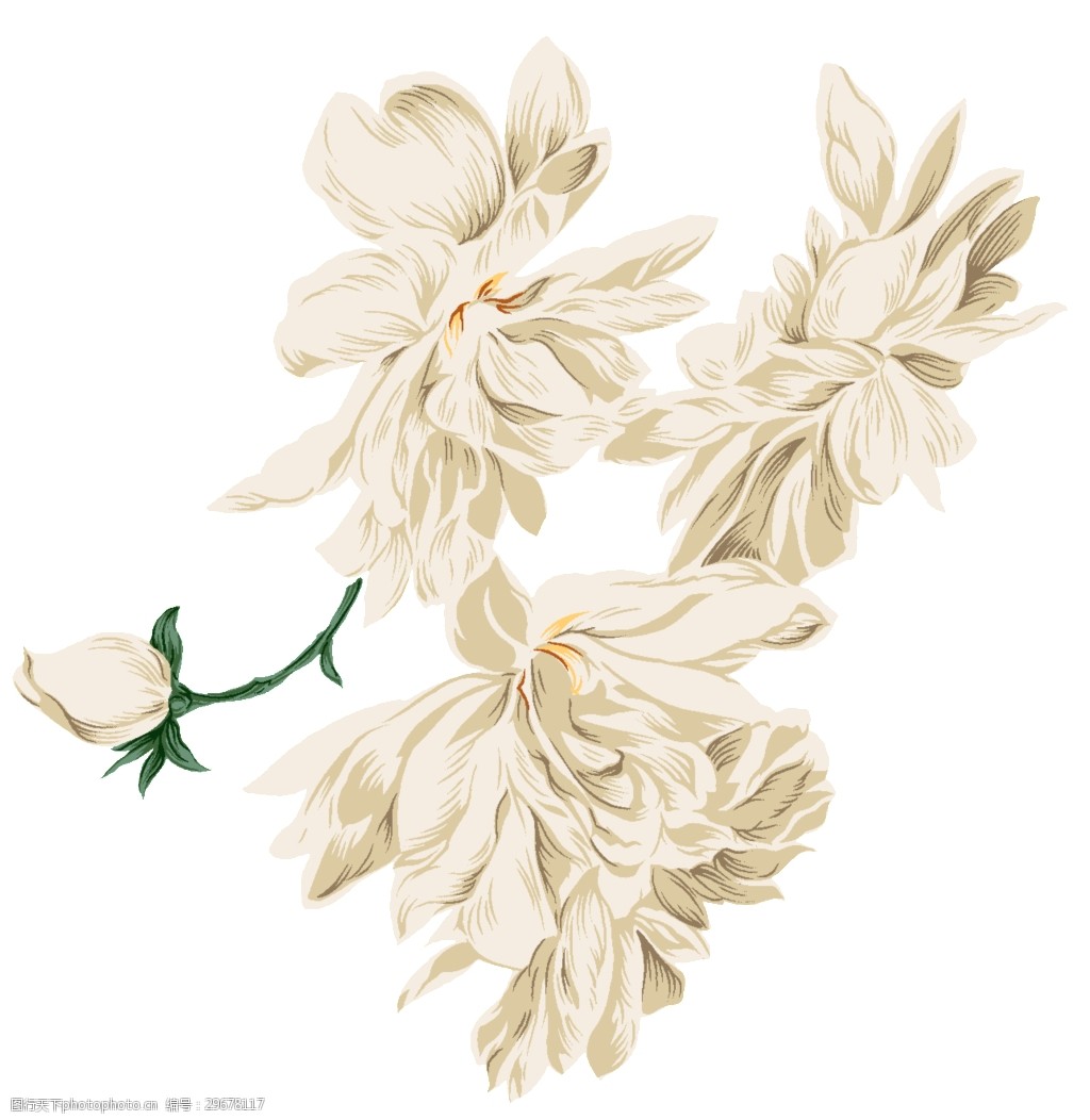 中国风古典白色花朵装饰元素