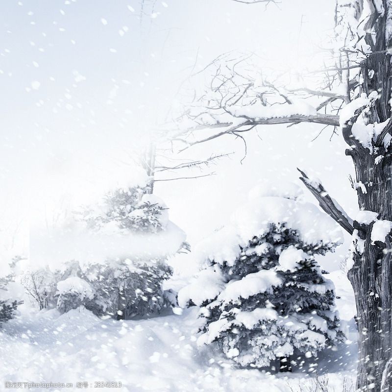 冬季雪景背景图