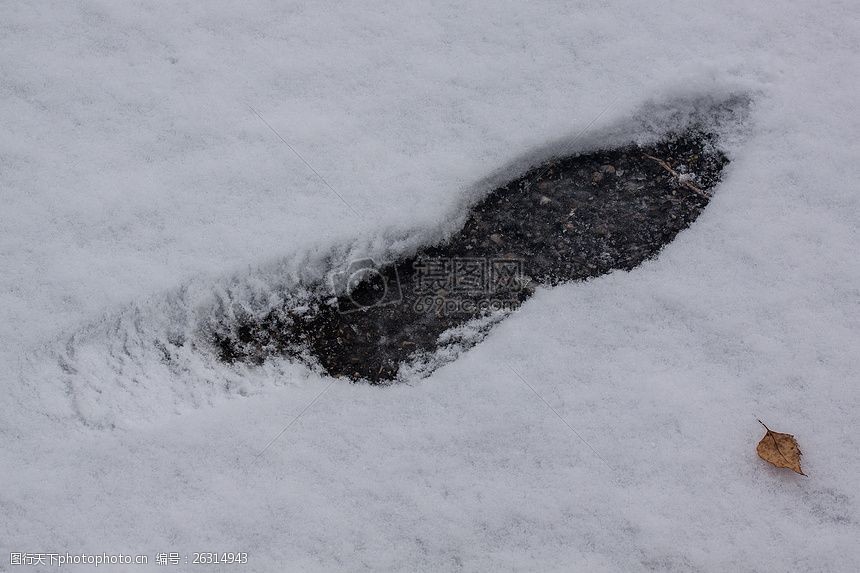 雪地里的一只脚印