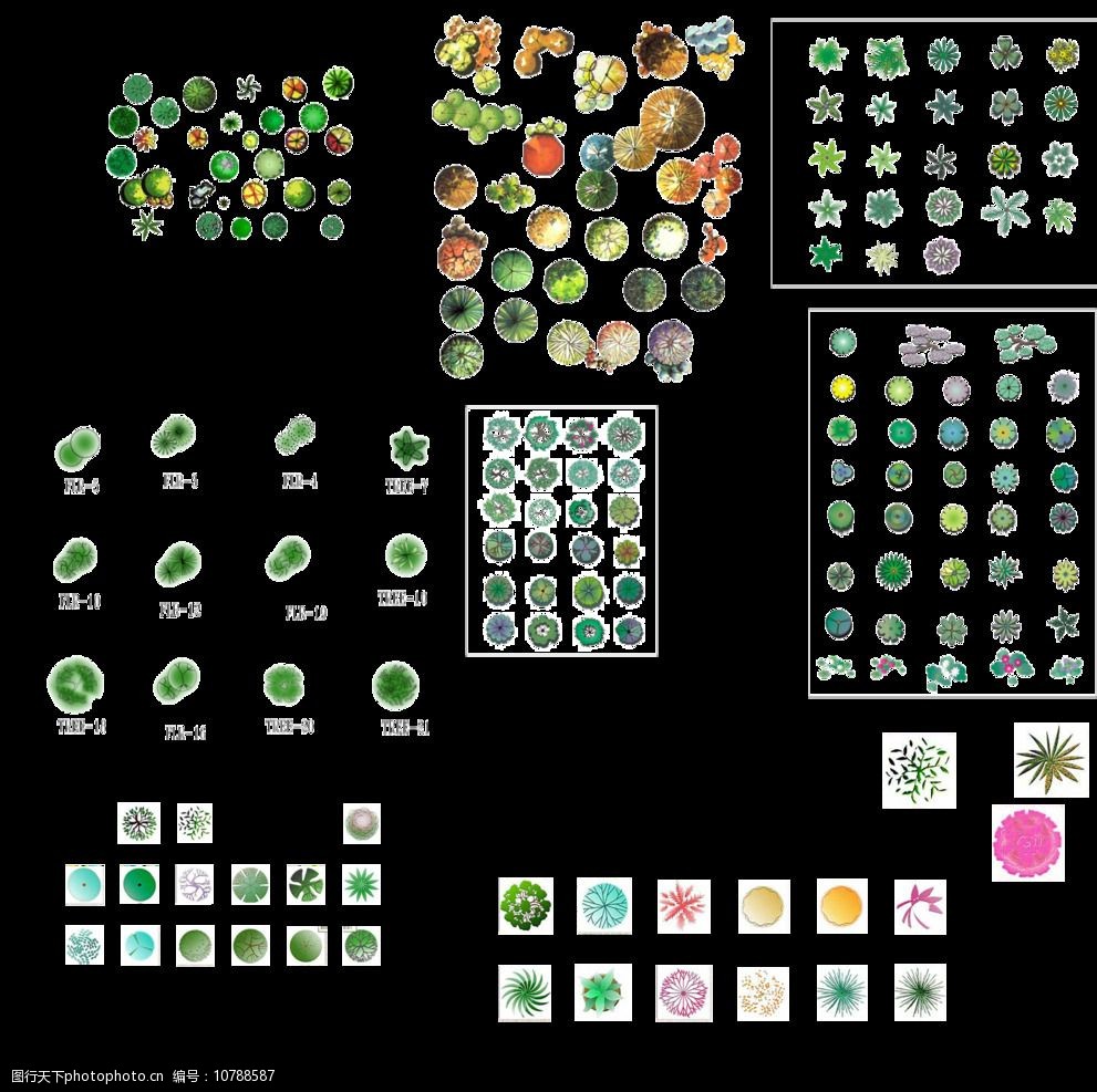 关键词:园林植物平面素材psd 园林 景观 植物 平面 素材 设计 psd分层