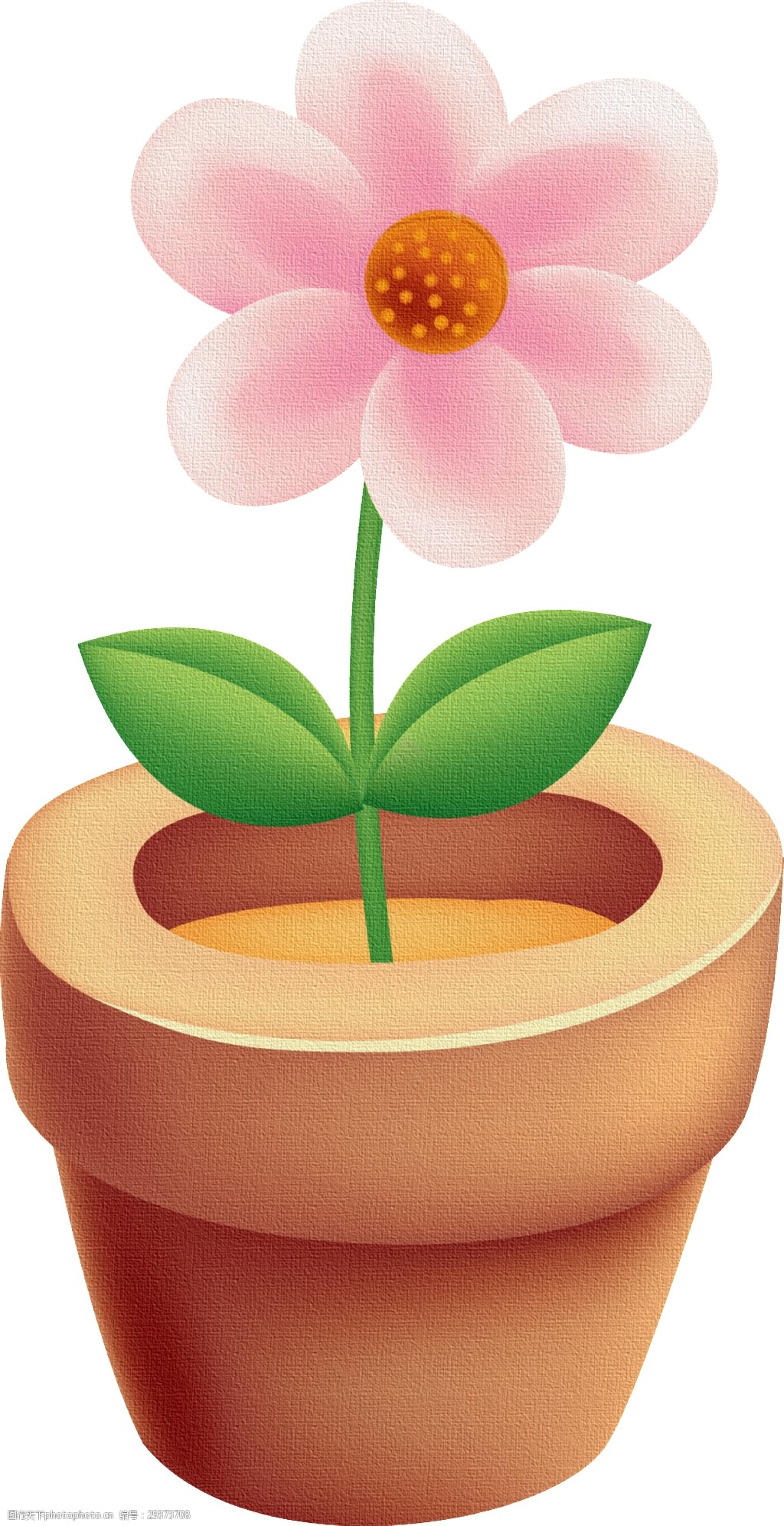 手绘一盆一朵花的盆栽透明素材