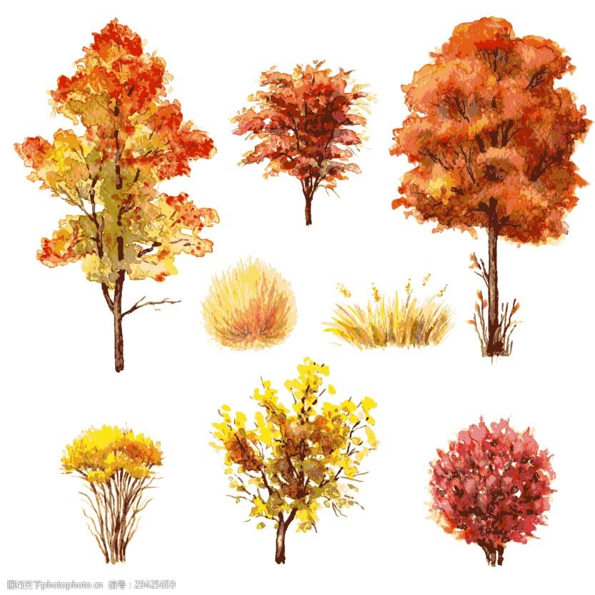 关键词:水彩绘秋天的大树 插画 大树 枫叶 红色 秋天 手绘 水彩绘