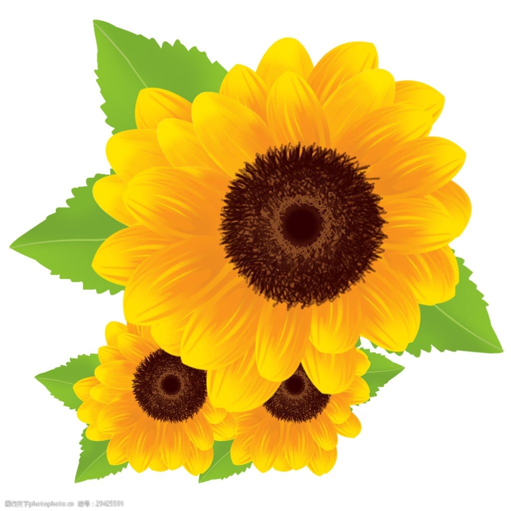 关键词:向日葵卡通装饰图案 花卉 卡通 太阳花 图案 向日葵 装饰