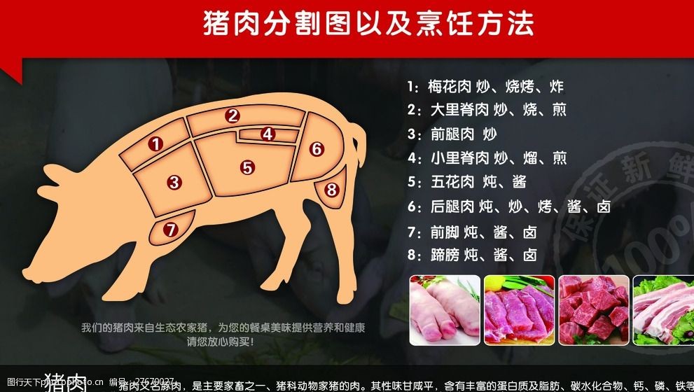 猪肉分割图